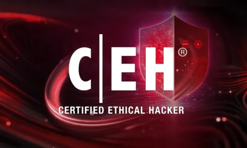 Certified Ethical Hacker (Practical)